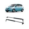 Amortiguadores Porton Luneta Honda Fit 03-08 Baul Juego x2